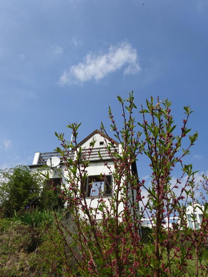 Kellerstoeckl Eisenberg/Pinka Weiner Villa Csejke Kültér fotó