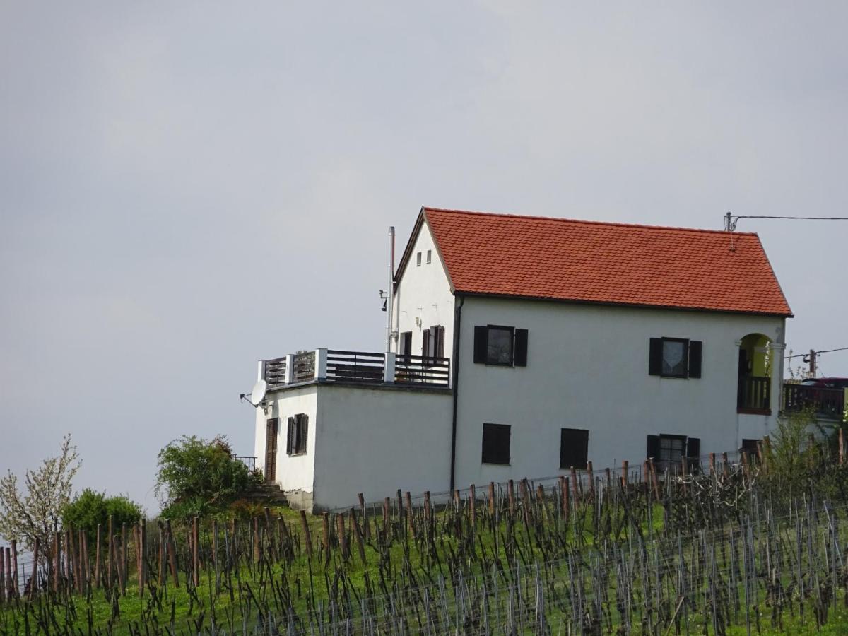 Kellerstoeckl Eisenberg/Pinka Weiner Villa Csejke Kültér fotó