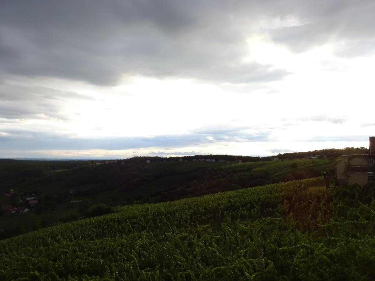 Kellerstoeckl Eisenberg/Pinka Weiner Villa Csejke Kültér fotó