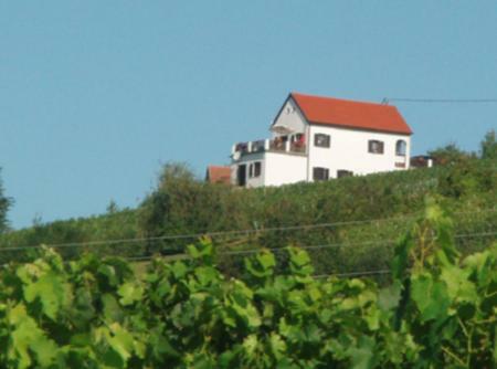 Kellerstoeckl Eisenberg/Pinka Weiner Villa Csejke Kültér fotó